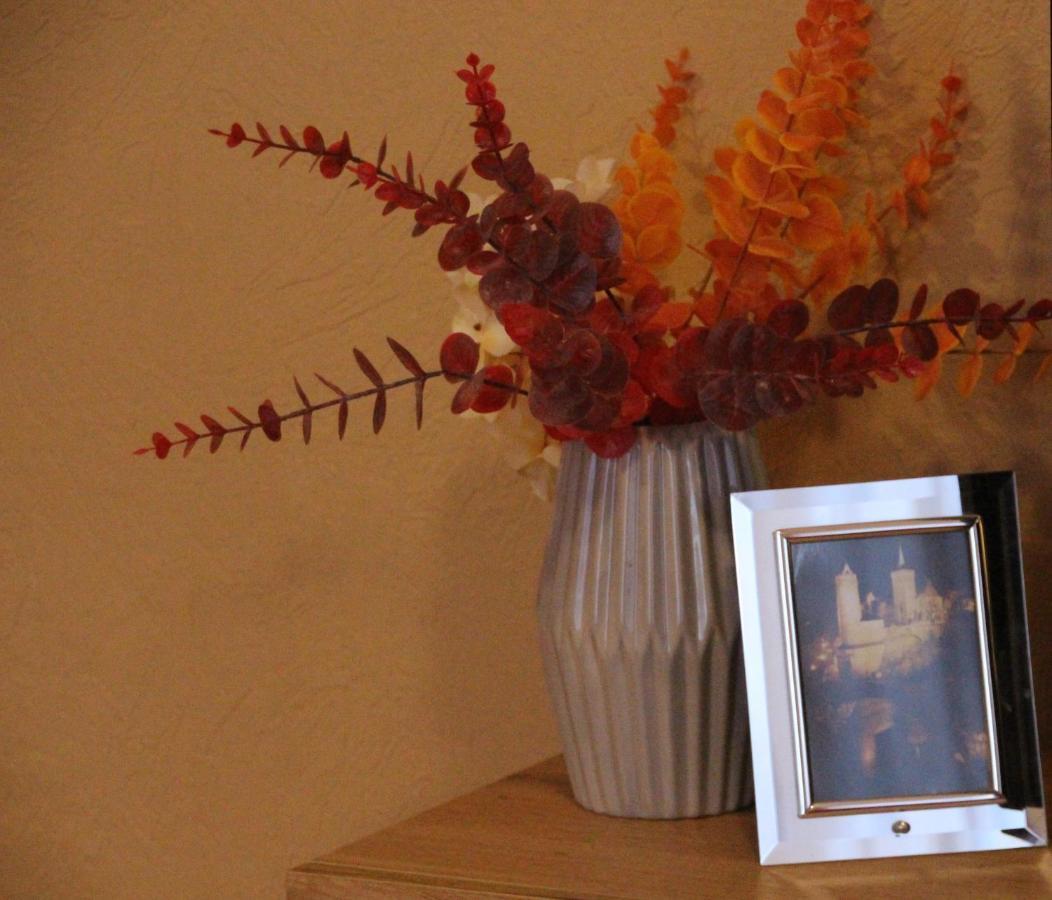 Ferienwohnung Felicitas Wilthen Bagian luar foto